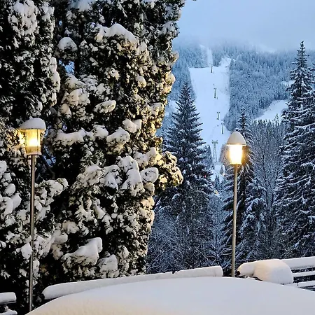 Hotel Piatra Mare